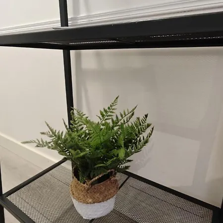 Apartmán Atico Estudio Centro Vigo, Luminoso Vigo